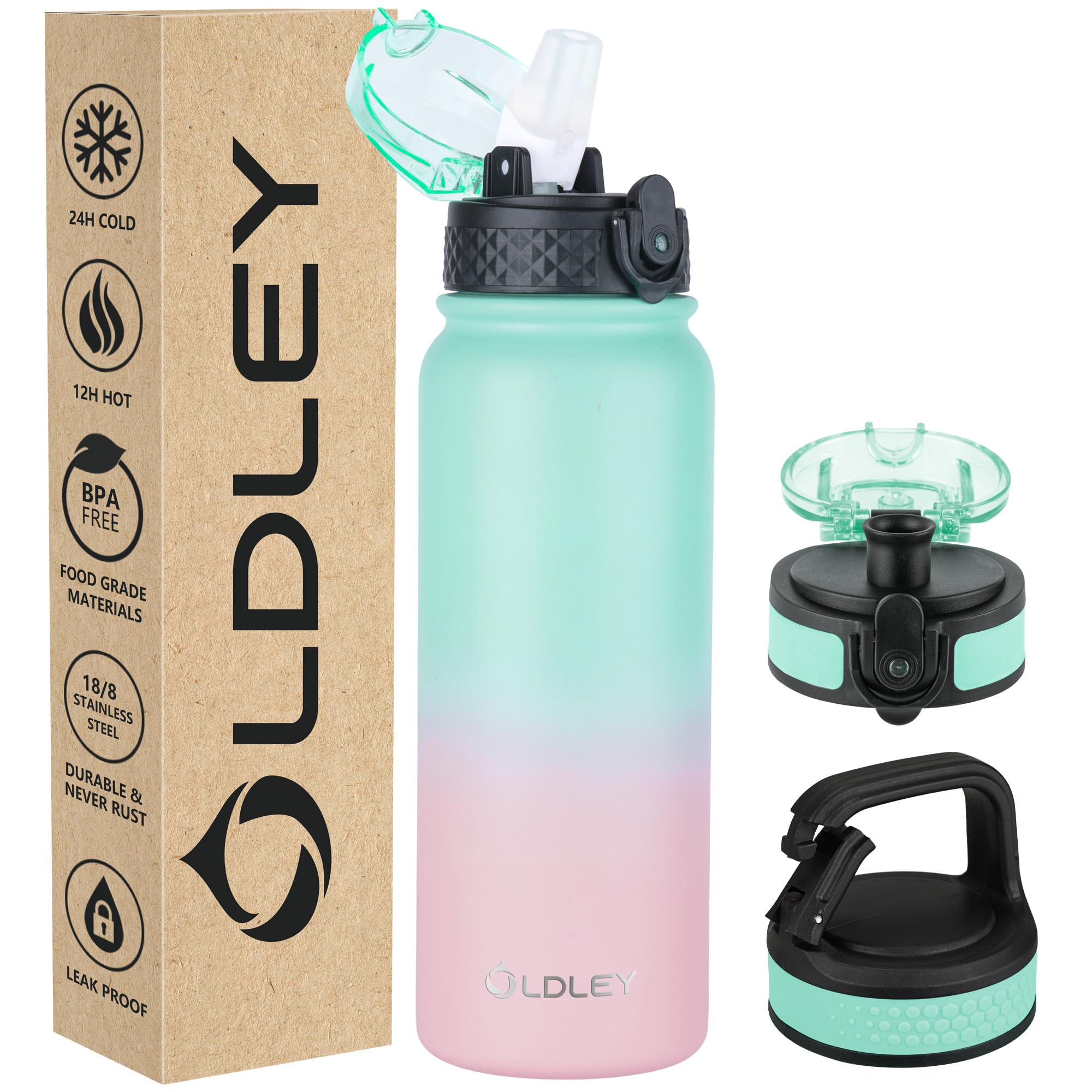 Amazon.com: Insulated Water Bottle 20oz for Adults Kids Stainless